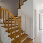 Malerisches, Hundefreundliches Nur 400 Meter Zum Mit Bbq, Babybett * Porec